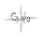 star-studio gallery